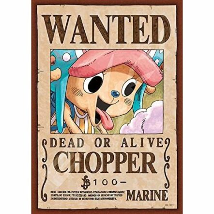 208塊砌圖 新懸賞令 索柏