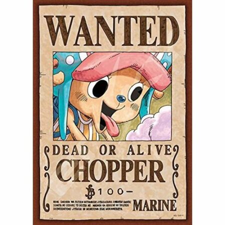 208塊砌圖 新懸賞令 索柏