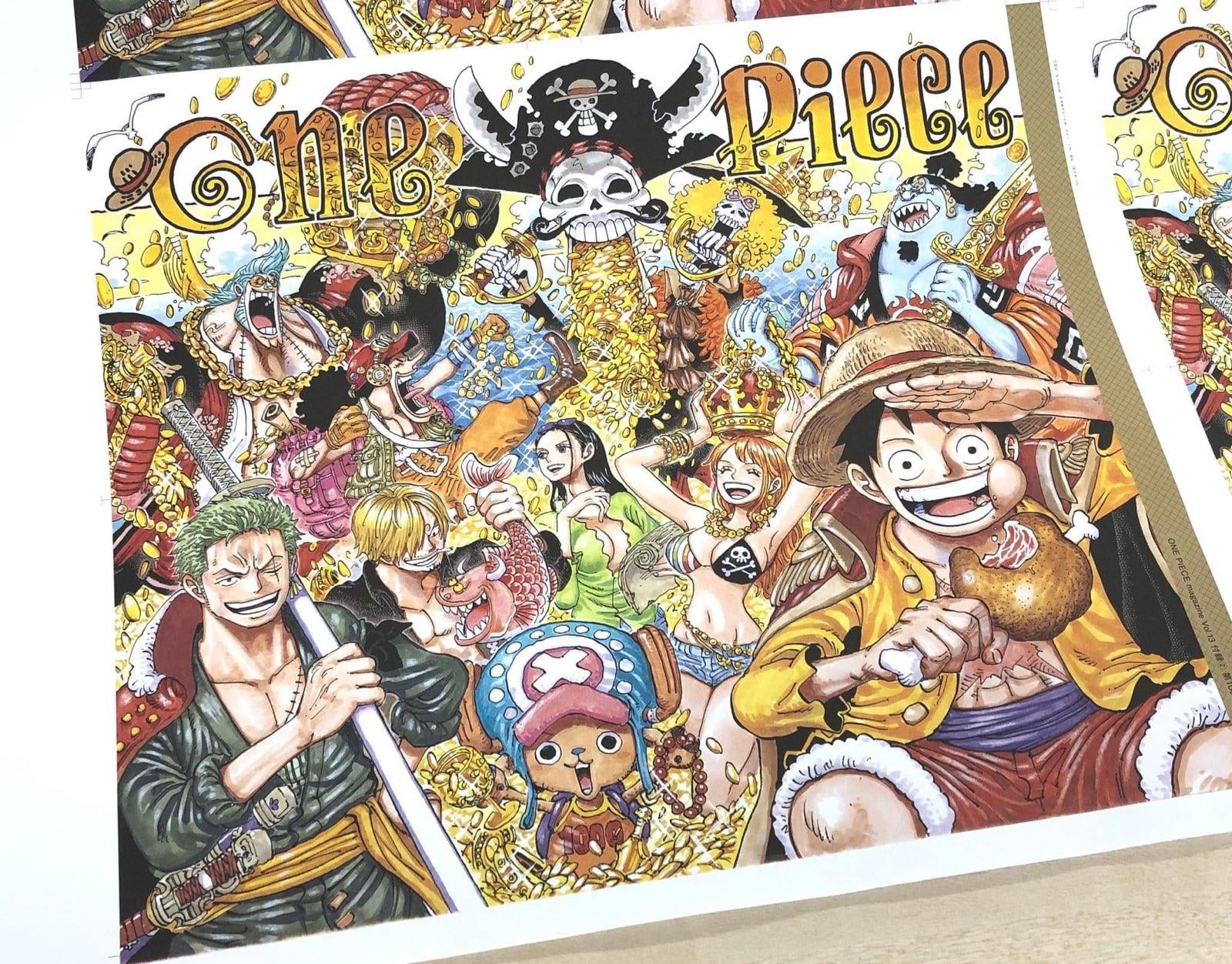 One Piece Magazine Vol 13 連載1000話 漫畫100卷記念號 日文版 草帽本鋪