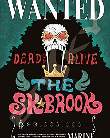 208塊砌圖 新懸賞令 布魯克