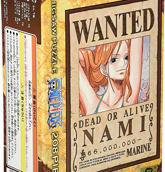 208塊砌圖 新懸賞令 娜美 208塊砌圖 新懸賞令 娜美