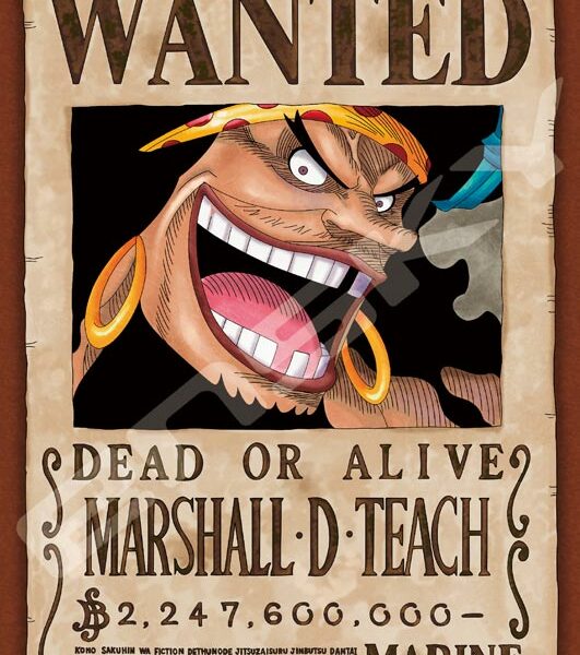 208塊砌圖 新懸賞令 黑鬍子