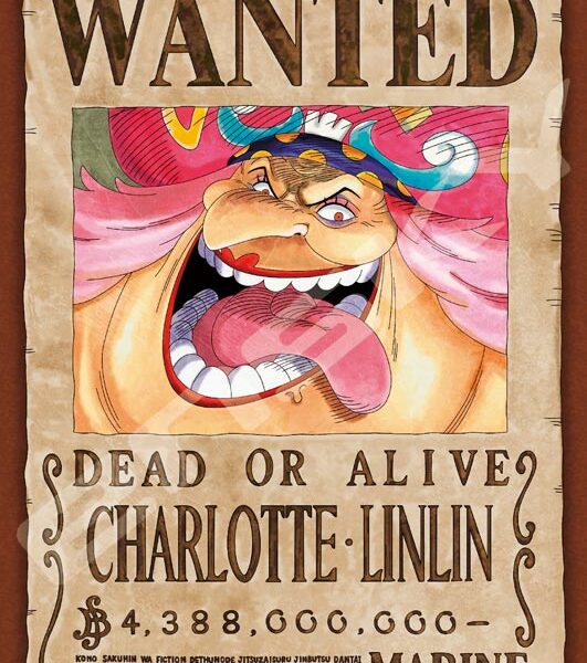 208塊砌圖 新懸賞令 大媽 208塊砌圖 新懸賞令 大媽