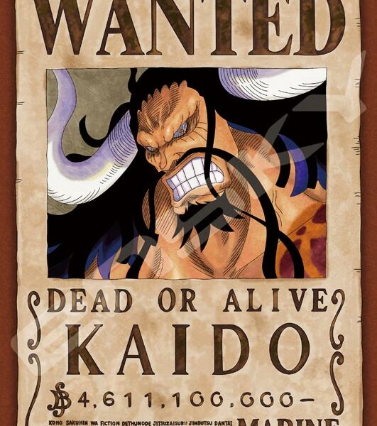 208塊砌圖 新懸賞令 凱多 208塊砌圖 新懸賞令 凱多