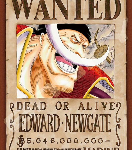 208塊砌圖 新懸賞令 白鬍子