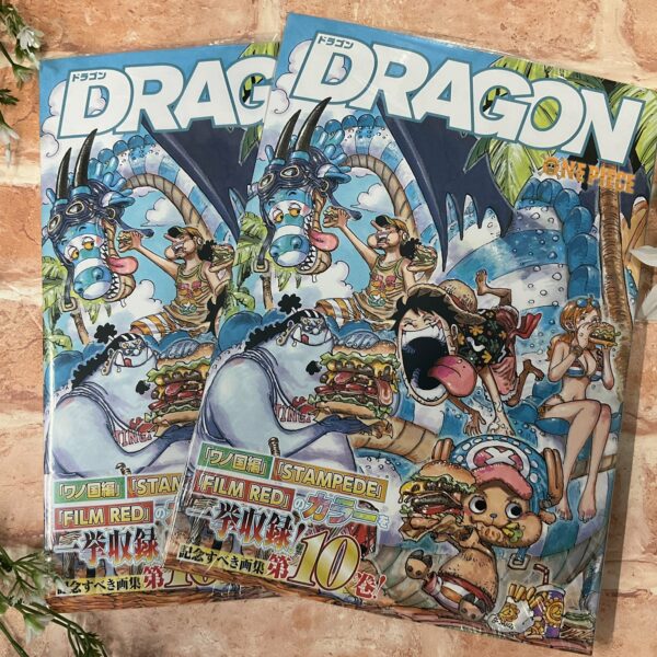 [現貨]ONEPIECE插畫集 COLORWALK 10 DRAGON（繁體中文）(愛蔵版コミックス)