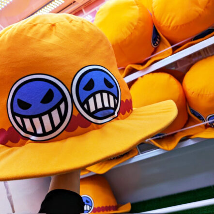 [日版] 巨型毛公仔/抱枕  咕𠱸 艾斯帽 闊約50CM