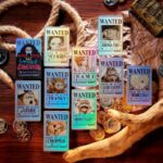 [1月中旬] [台灣限定] 海賊王 懸賞令 Supercard悠遊卡(盲包一張) *完全隨機