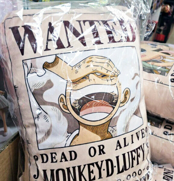 海賊王 懸賞令抱枕 – 五檔路飛