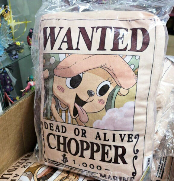 海賊王 懸賞令抱枕 – 索柏